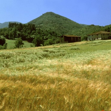 Nearby Borgo S. Lorenzo