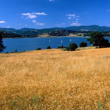 The lake of Bilancino